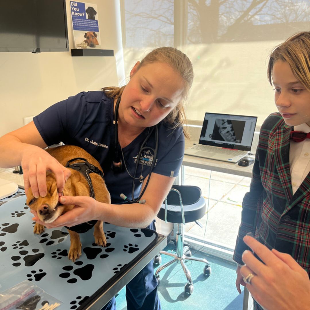 Supporting Future Scientists at Animal Oasis of the Rockies