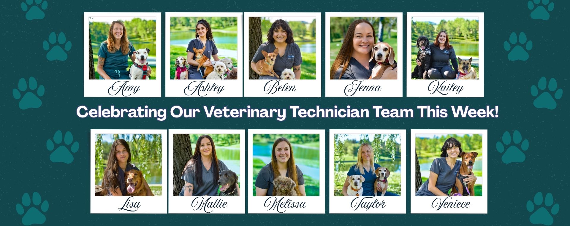 Happy Vet Tech Week at AOR vet