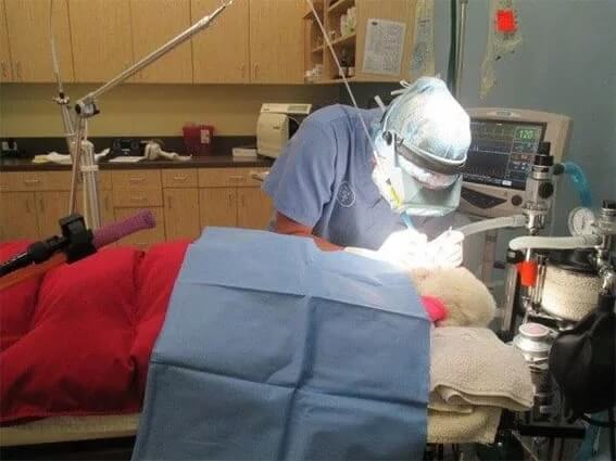 Laser Surgery