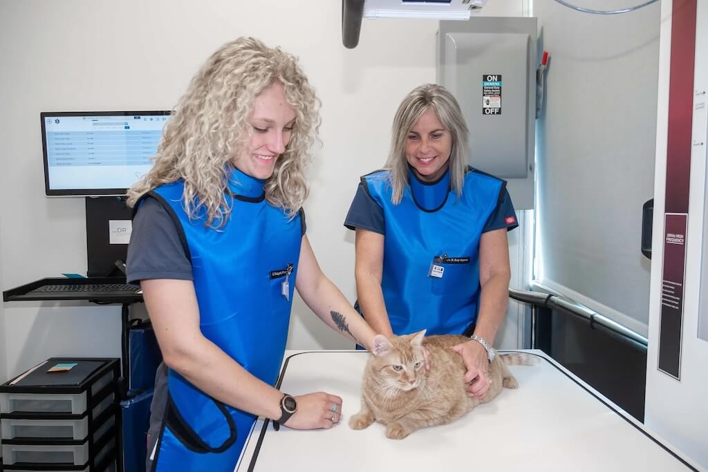 Animal Oasis of the Rockies