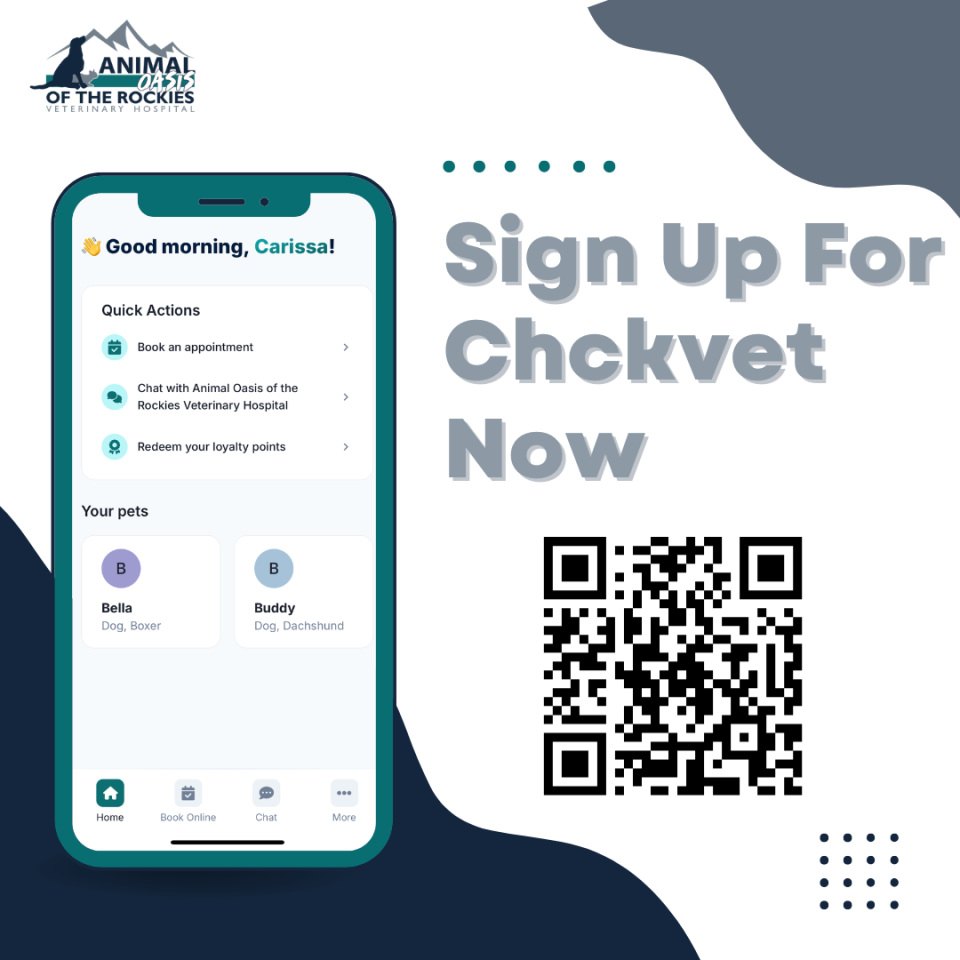 ChckVet App