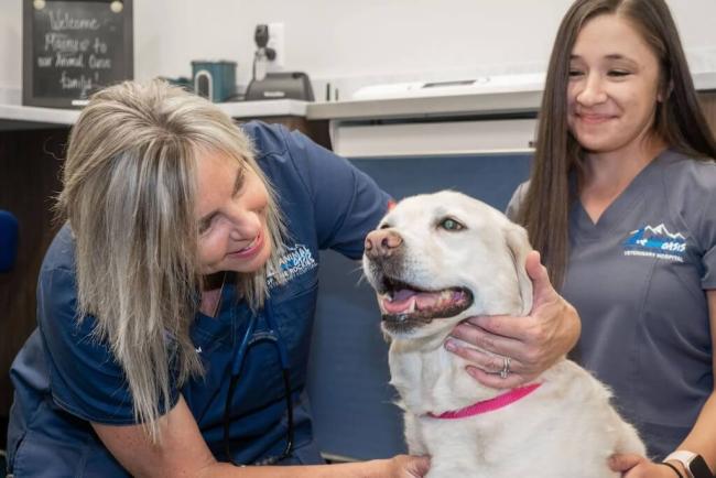 Animal Oasis of the Rockies, Broomfield, CO